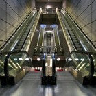 Picture for song 'ESCALATORS' by artist 'STEVE VICIOUS'