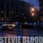 Picture for song 'Leavin' Blues' by artist 'Stevie Blood'