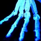 Picture for song 'Black Light' by artist 'Struggle For A Word'