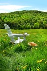 Picture for song 'Dreams In Summer - Solo Piano' by artist 'Studio J'