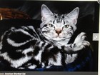 Picture for song 'HOLD ME JUANITA.mp3' by artist 'SugarRiverCountry Songwriters Network'