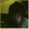 Song picture