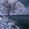 Picture for song 'Landscape' by artist 'Synthetic Movements'