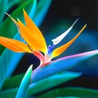 Picture for song 'Paradise Lost ***NEW*** T-34 Producions' by artist 'T-34 Productions'