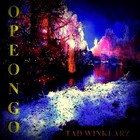 Picture for song 'Opeongo' by artist 'Tad Winklarz'