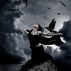 Picture for song 'RAVEN' by artist 'tamsnumber4'