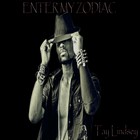 Picture for song 'Roller Coaster' by artist 'Tay Lindsey'
