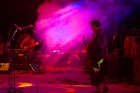 Picture for song 'PIG SOCIETY' by artist 'TECHNICAL ECSTASY'