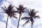 Picture for song 'Coolin out' by artist 'TERK'