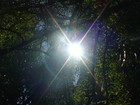 Picture for song '01 Solar Plex-us 937337' by artist 'The Collective- The Griot'
