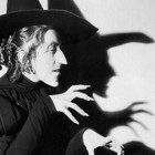 Picture for song 'color of life' by artist 'The Devil's Orphans'