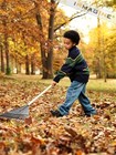 Picture for song 'Chores' by artist 'The Diceman'