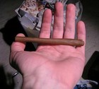 Picture for song 'Blunts 4 Lunch' by artist 'The Habitat Crew'