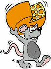 Picture for song 'Battle Of The Cheese's' by artist 'The Magic Mushrooms'