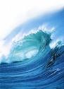 Picture for song 'Christmas Wave Healing' by artist 'The Markdanyells'