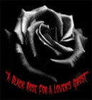 Picture for song 'A Black Rose For A Lover's Ghost' by artist 'The Necrofiends'