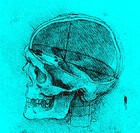 Picture for song 'No Brain' by artist 'The Psychic Wardrobes'