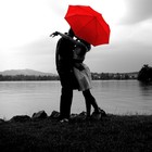 Picture for song 'Chance At Love (IR/TE) - Free DL' by artist 'The Rejectz'