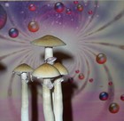 Picture for song 'Satisfy!!' by artist 'The Riffer'