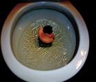 Picture for song 'You Smell Like Something I Wouldn't Want To Touch' by artist 'The Sassy MoFoS'