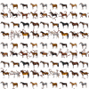Picture for song 'Delirium of the tiny bald horses' by artist 'The Serendipitous Cacophonies'