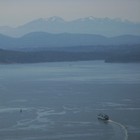 Picture for song 'The Last Goodbye' by artist 'The Serendipitous Cacophonies'