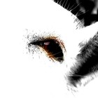 Picture for song '002' by artist 'The Seventh Horn'