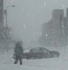 Picture for song 'WINTER WINDZ' by artist 'The Specialists'