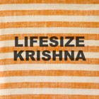 Picture for song 'Lifesize Krishna' by artist 'The Steppouts'