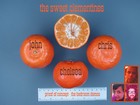 Picture for song 'The Most Incredibly Sugar Man' by artist 'The Sweet Clementines'