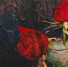 Picture for song 'He Loves You' by artist 'The Well is Deep'