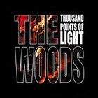 Picture for song 'Substitute' by artist 'The Woods Cover Emporium'