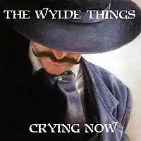 Picture for song 'Cryin Now' by artist 'Wylde Things'