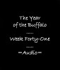 Picture for song 'Week Forty-One: Ascensionite' by artist 'The Year of the Buffalo (Volume IV)'
