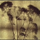 Picture for song 'THG throw away *free download*' by artist 'thgbeats'