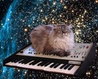 Picture for song 'vomit cats' by artist 'Thierry Ennui'