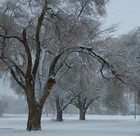 Picture for song 'Cold City (How Many Ghosts)' by artist 'ThinMan'