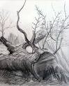 Picture for song 'Not the Same Here Anymore' by artist 'ThomasDayton'