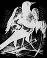 Picture for song 'Squash That' by artist 'Three Generals'
