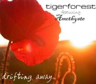 Picture for song 'Drifting Away' by artist 'Tigerforest'