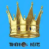 Picture for song 'Survivor' by artist 'TIMERBOi BEATS'