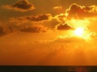Picture for song '8 a.m' by artist 'Top Status Productionx'