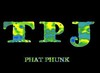 Picture for song 'Phat Phunk' by artist 'TpJ'