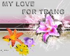 Picture for song 'She Will Be Loved - Maroon 5' by artist 'TRang yeu'