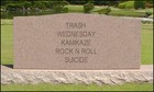 Picture for song 'Kamikaze Rock n Roll Suicide' by artist 'Trash Wednesday'