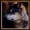 Picture for song 'Forgotten' by artist 'Tristan A.'