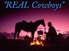 Picture for song '"REAL Cowboys"' by artist 'Turquoise Rose'