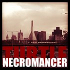 Picture for song 'City Circus' by artist 'Turtle Necromancer'