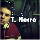 Picture for song 'HEY!' by artist 'Turtle Necromancer'