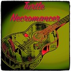 Picture for song 'Twiddle' by artist 'Turtle Necromancer'